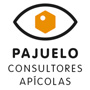 Pajuelo